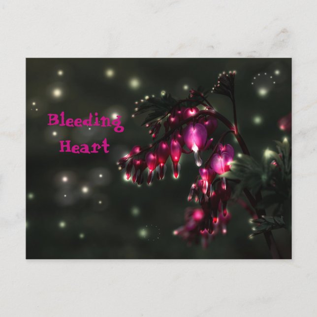 Bleeding Heart - Broken Heart Personalize Postcard (Front)