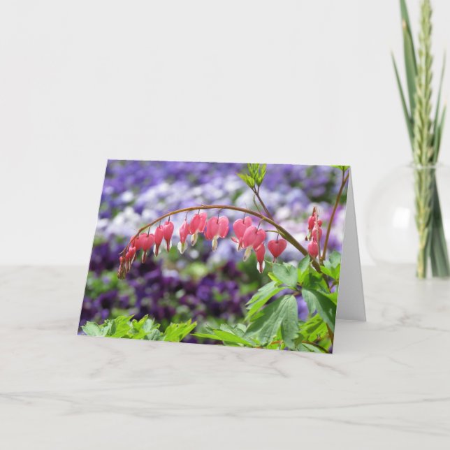 Bleeding-heart Card (Front)