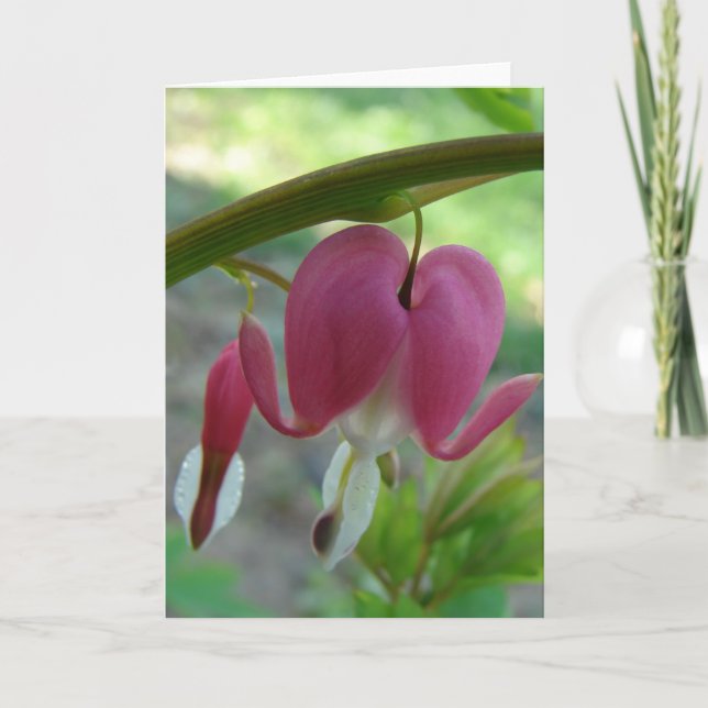 Bleeding Heart Card (Front)