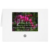 Bleeding Heart Cards (Back Horizontal)