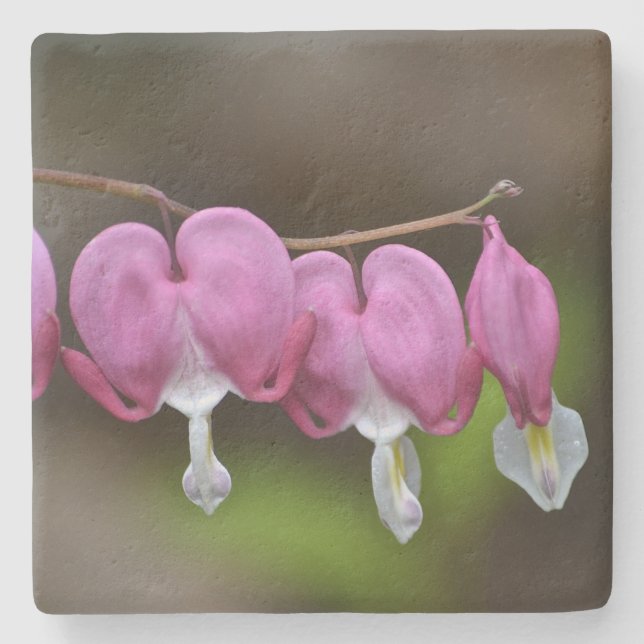 Bleeding Heart Floral Stone Coaster (Front)