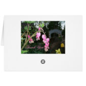 Bleeding Heart Flower Cards (Back Horizontal)