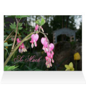 Bleeding Heart Flower Cards (Inside Horizontal (Top))