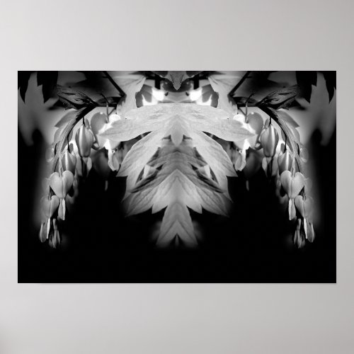 Bleeding Heart Flowers Black And White Abstract Poster