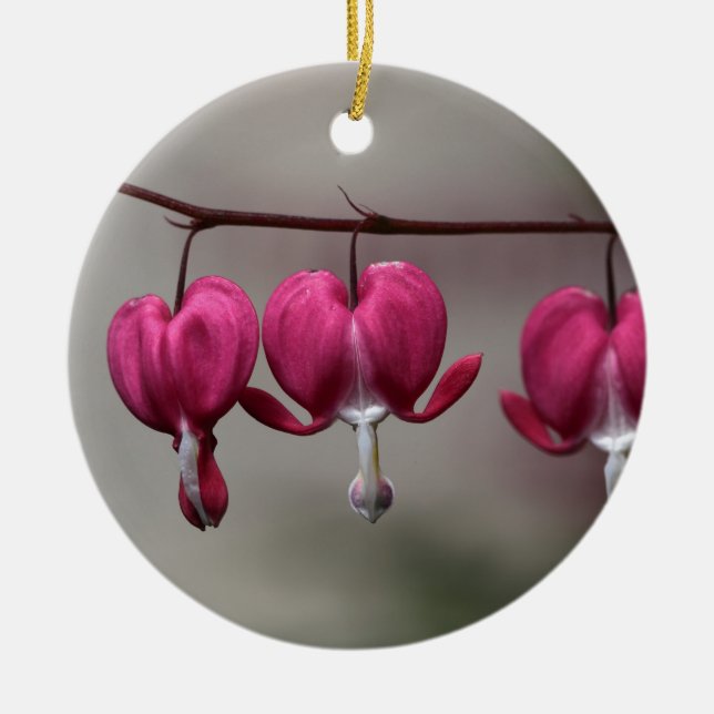 Bleeding Heart Flowers Ceramic Ornament (Front)