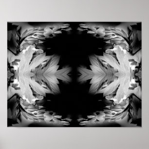 Bleeding Heart Flowers In Black And White Abstract Poster