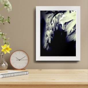 Bleeding Heart Flowers In Black And White Framed Art
