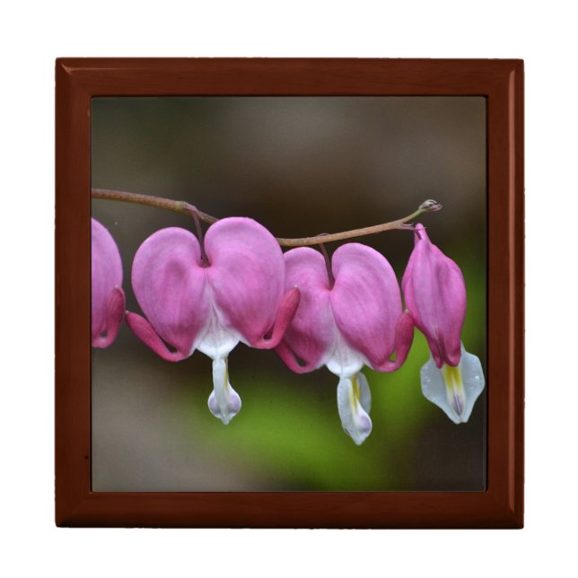 Bleeding Heart Jewelry Box (Front)