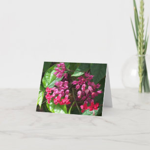 Bleeding Heart Photo Folded Note Card