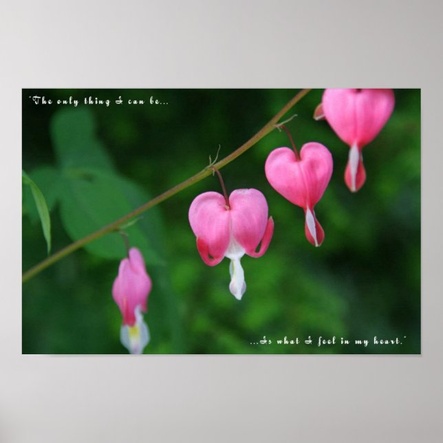 Bleeding Heart Poster (Front)