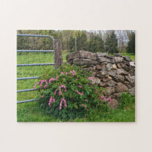 Bleeding Heart Puzzle