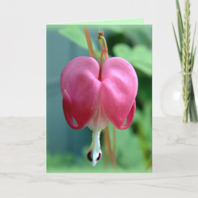 Bleeding Heart Thank You Card (Front)