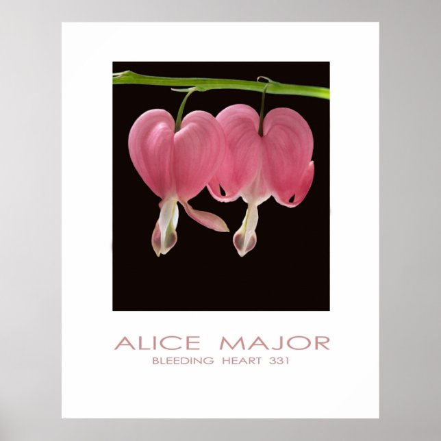 Bleeding Hearts 331 Poster (Front)