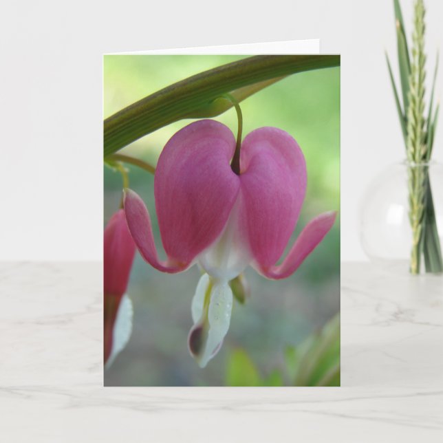 Bleeding Hearts Card (Front)