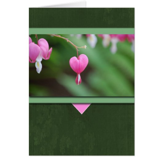 Bleeding Hearts Cards (Front)