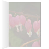 Bleeding Hearts Cards (Inside (Right))