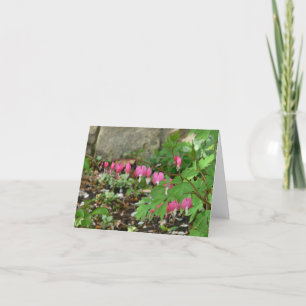 BLEEDING HEARTS DANGLING FROM STEM CARD