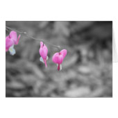 Bleeding hearts Door county (Front Horizontal)