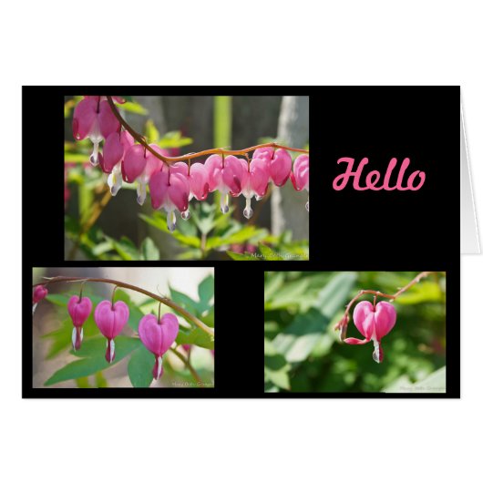 Bleeding Hearts Flowers Cards (Front Horizontal)