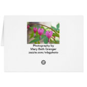 Bleeding Hearts Flowers Cards (Back Horizontal)