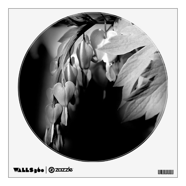 Bleeding Hearts Flowers In Black And White Wall Decal (Front)