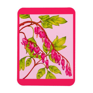bleeding hearts flowers magnet