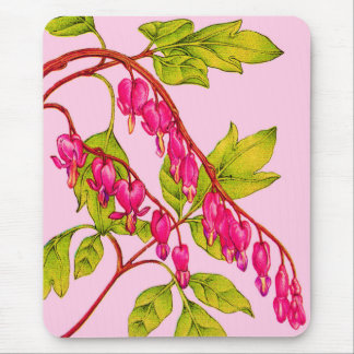 bleeding hearts flowers mouse pad