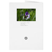 bleeding hearts haiku cards (Back)