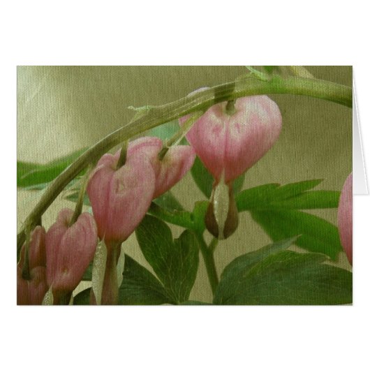 Bleeding Hearts Linen Texture Cards (Front Horizontal)
