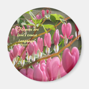 Bleeding Hearts Magnet