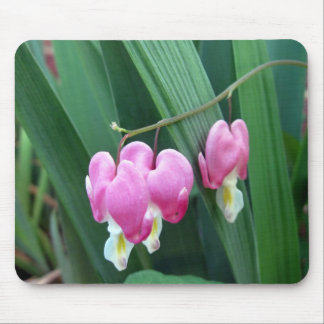 Bleeding Hearts Mouse Pad