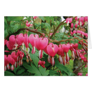 BLEEDING HEARTS ON ***OUR WEDDING DAY*** CARDS