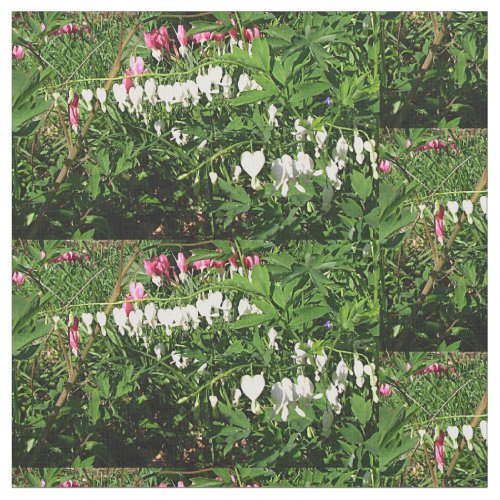 Bleeding Hearts Pink White Photograph Fabric