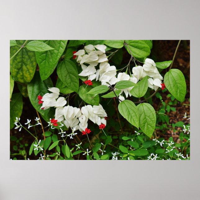 Bleeding Hearts Poster (Front)