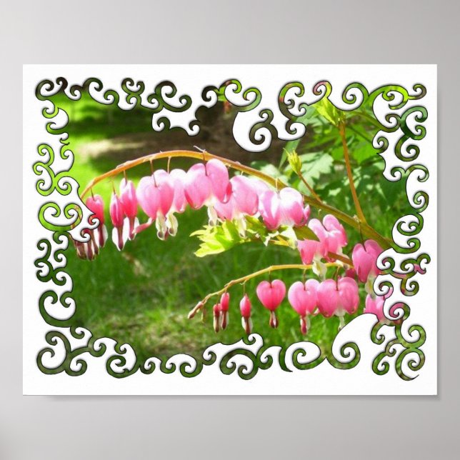 Bleeding Hearts Swirley Poster (Front)