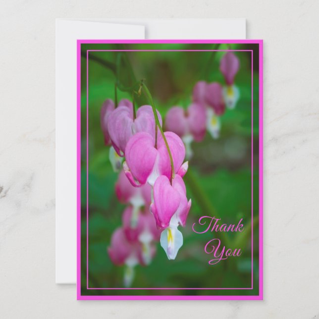 Bleeding Hearts Thank You (blank inside) Card (Front)