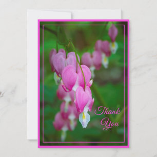 Bleeding Hearts Thank You (blank inside) Card
