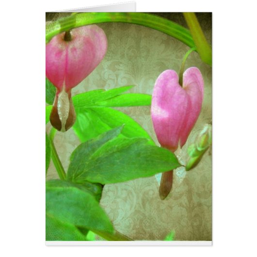 Bleeding Hearts With Texture Cards (Front)