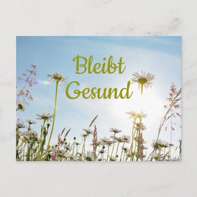 Bleibt Gesund  - Postcard (Front)