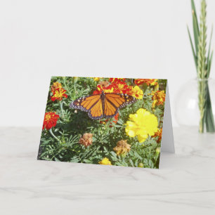 "Blending In" Get Well Card