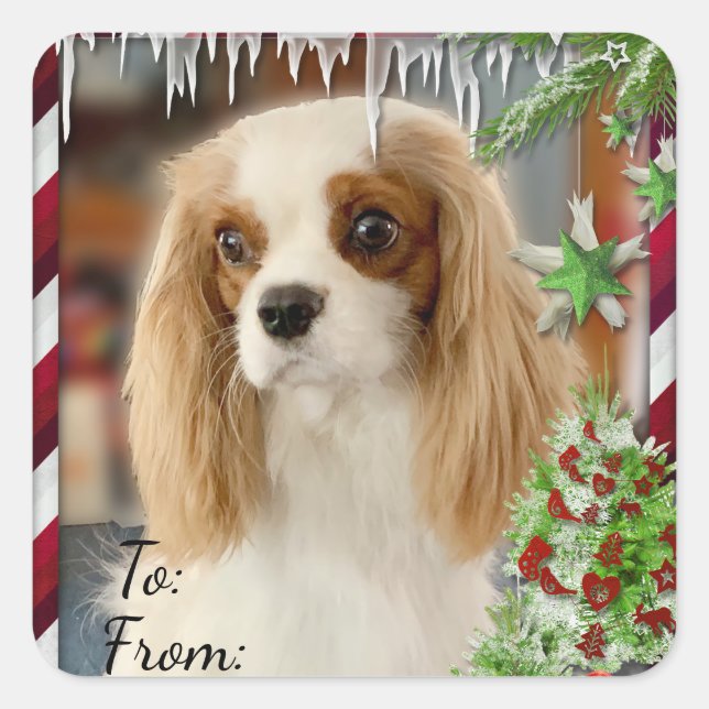 Blenheim Cavalier Christmas Gift Tag Sticker (Front)