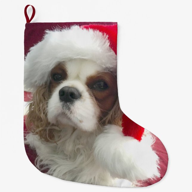 Blenheim Cavalier Christmas Stocking (Front)