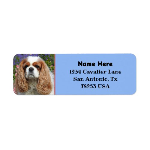 Blenheim Cavalier King Charles Return Address Label