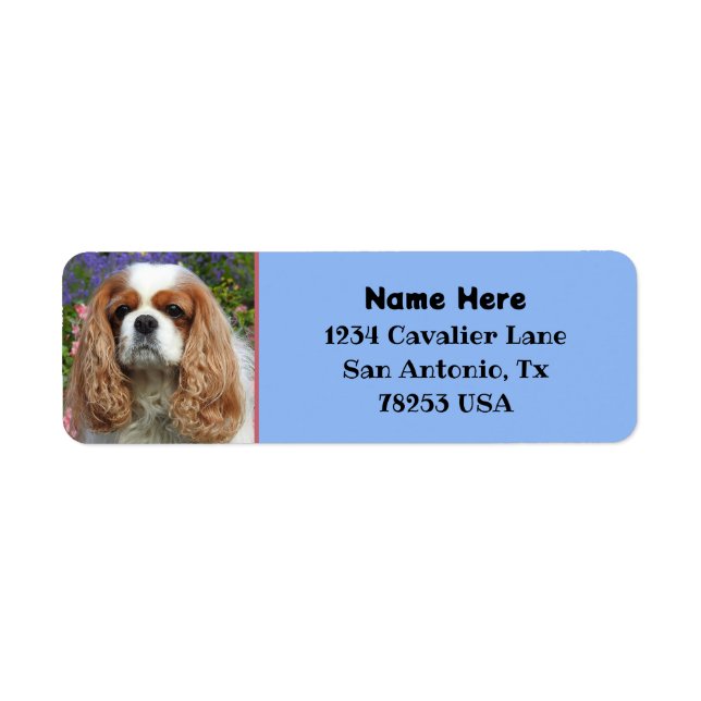 Blenheim Cavalier King Charles Return Address Label (Front)