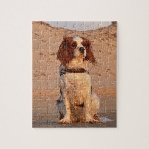 Blenheim Cavalier King Charles Spaniel Beach Jigsaw Puzzle