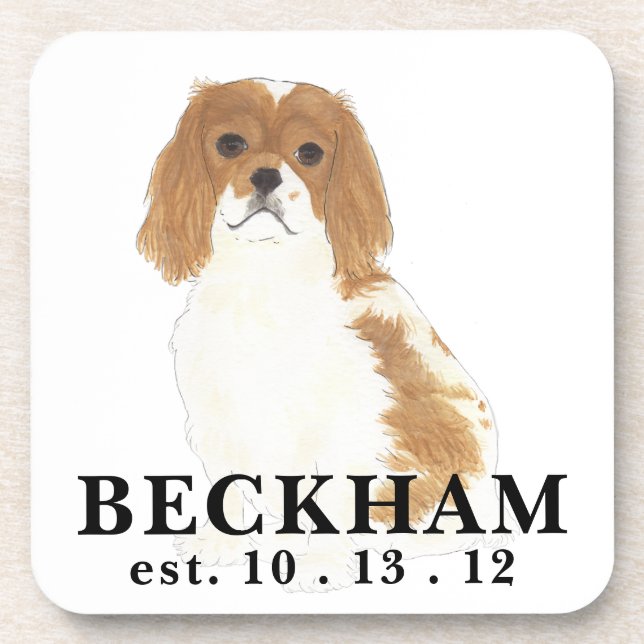 Blenheim Cavalier King Charles Spaniel Beverage Coaster (Front)