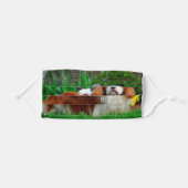 Blenheim Cavalier King Charles Spaniel Dog Adult Cloth Face Mask (Front, Folded)