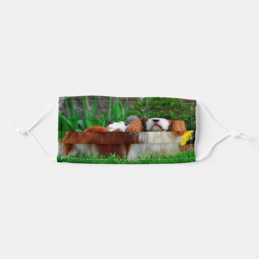 Blenheim Cavalier King Charles Spaniel Dog Adult Cloth Face Mask (Front, Folded)
