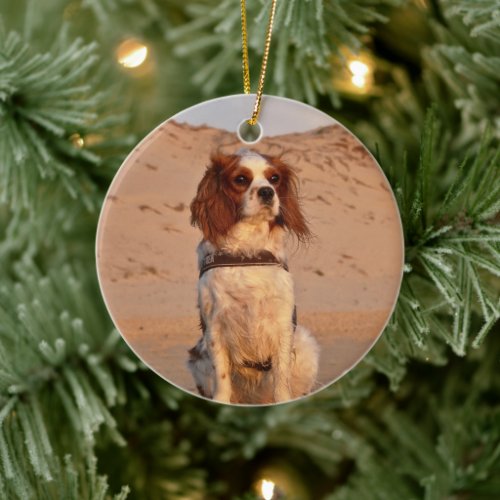Blenheim Cavalier King Charles Spaniel Dog Ceramic Ornament