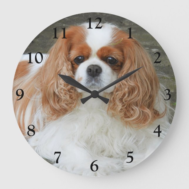 Blenheim Cavalier King Charles Spaniel Dog Large Clock (Front)